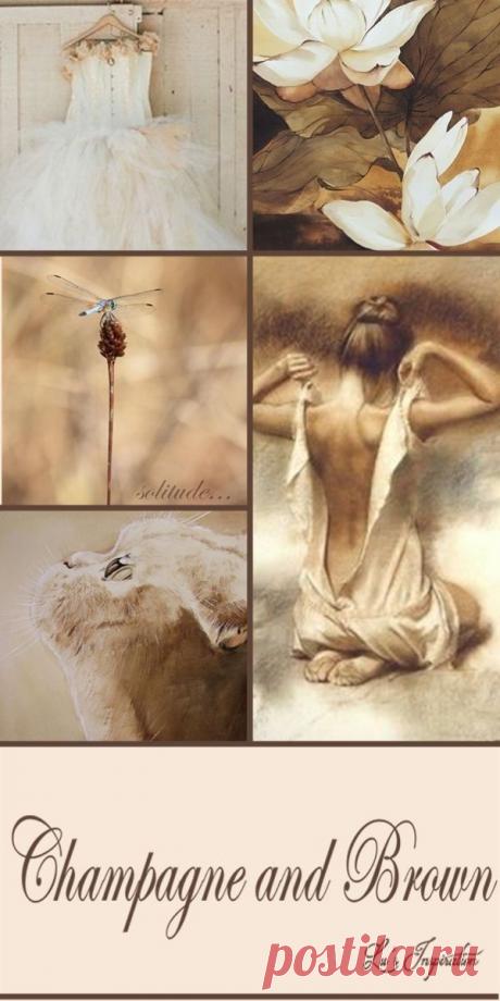 - Цветотерапия при дальнозоркости
- Цветотерапия при астигматизме
- Цветотерапия при амблиопии (слабовидение, ленивый глаз)
- Цветотерапия при астенопии
- Цветотерапия при пресбиопии
- Цветотерапия при синдроме сухого глаза (сухой кератоконъюнктивит)
- Цветотерапия при патологии зрительного нерва и сетчатки