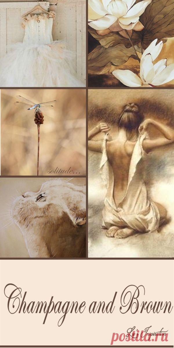 - Цветотерапия при дальнозоркости
- Цветотерапия при астигматизме
- Цветотерапия при амблиопии (слабовидение, ленивый глаз)
- Цветотерапия при астенопии
- Цветотерапия при пресбиопии
- Цветотерапия при синдроме сухого глаза (сухой кератоконъюнктивит)
- Цветотерапия при патологии зрительного нерва и сетчатки