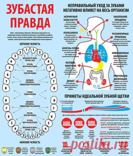 Секреты здоровья. О чем молчат врачи.