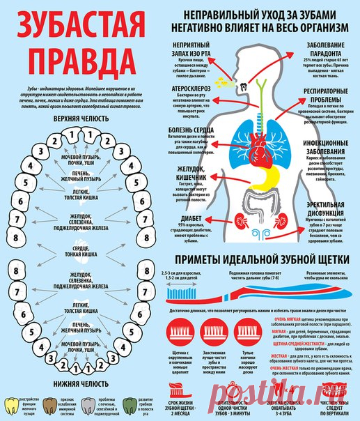 Секреты здоровья. О чем молчат врачи.