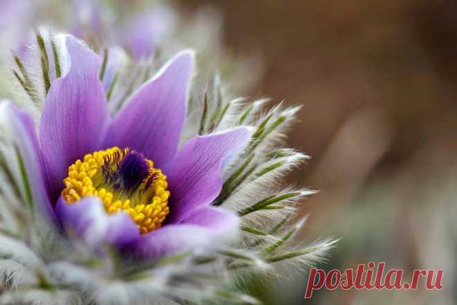 Ինչպե՞ս պիտի կատարեմ Քո կամքը, եթե չիմանամ այն: Ինչպե՞ս պիտի իմանամ Քո կամքը, եթե չկարդամ Քո Խոսքը: Այսպես՝ Քո կամքը կատարելով է, որ պիտի լինեմ Քեզ հարազատ, Քո ընտանիքի անդամ, ինչպես որ ասացիր. «ով որ Աստծո կամքը կատարում է, նա է Իմ եղբայրը և քույրը ու մայրը» (Մարկոս 3.34): 
Տեր, զորացրու ինձ, որպեսզի Քո կամքը կատարելով Քեզ հարազատ լինեմ: