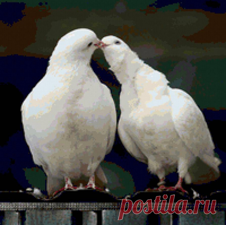 Примета голубь на подоконнике - Народные приметы
