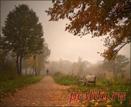 Природа и музыка любви...