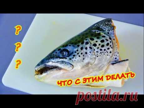 ГОЛОВА ЛОСОСЯ ! Что с ней делать???
