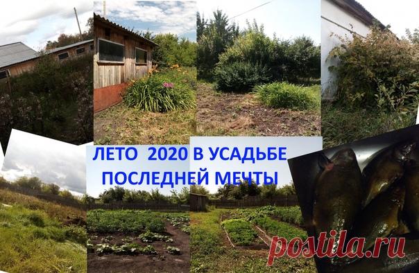 Ну, вот мы и на Хопре. Вернулись в усадьбу.
На этих фото Усадьба последней мечты до и после нашего заселения. Осенью 2019 и нынешним летом 2020 года. Прошло несколько месяцев, и она разительно изменилась. Дико и жутко заросшая целина сменилась огородом, почти ухоженным садом. А в правом нижнем углу, на закуску, подарок от соседа – семейство линей. Красиво? И вкусно, уверяю вас. Редис и салат, базилик и кабачки, и линь, само собой. Скоро будут огурчики, молодая картошка, ка...