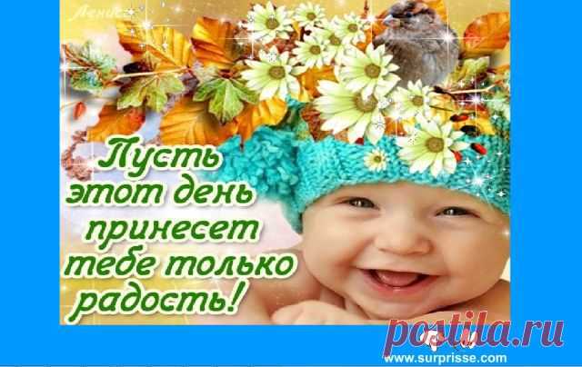getImage (640×404)