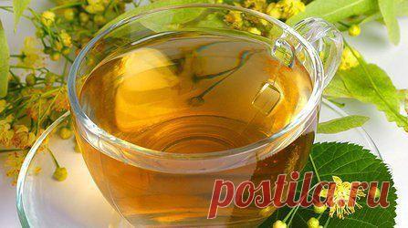 ТРАВЫ ДЛЯ ПОХУДЕНИЯ. ОМЕЛА И ЛИПА | Женский журнал