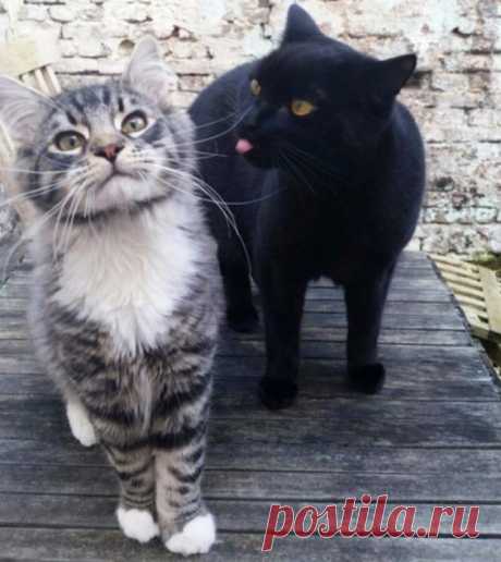 Сама такая!