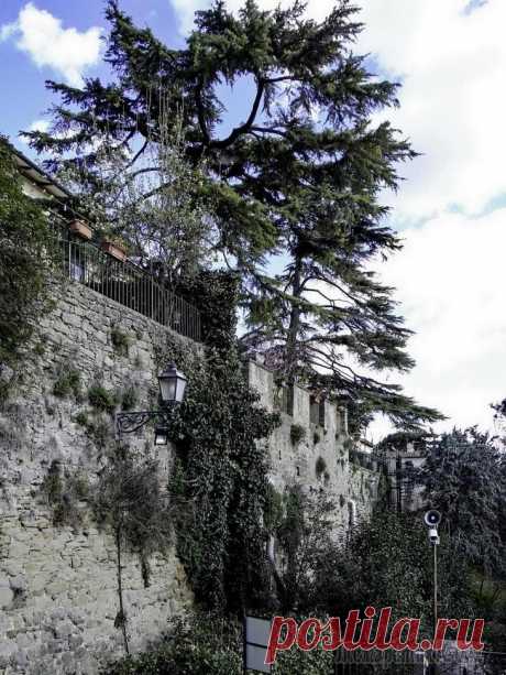 Италия. Тоскана. Cortona