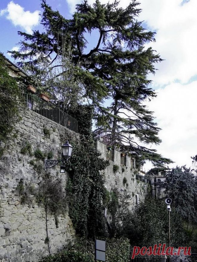 Италия. Тоскана. Cortona