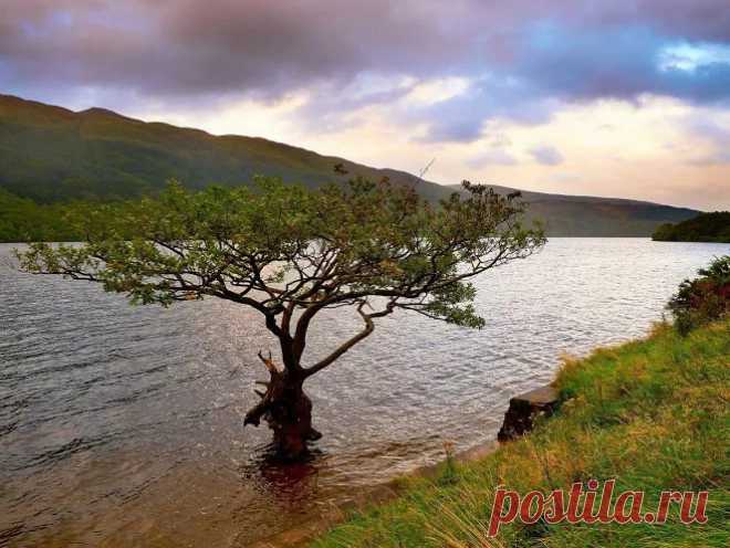 Шотландия - Google+