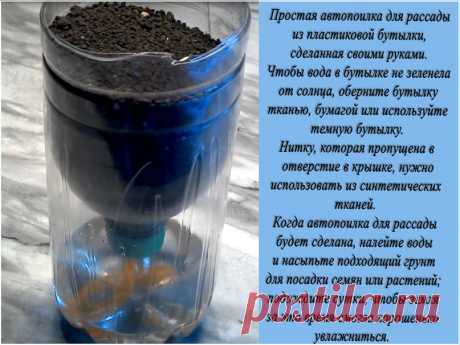 Gardening | Простая автопоилка для рассады, сделанная своими руками
https://www.gardening.kittens-world.ru/prostaja-avtopoilka-dlja-rassady-sdelannaja-svoimi-rukami.html Простая автопоилка для рассады, сделанная своими руками - Simple Autodrinking for seedlings, made with his own hands