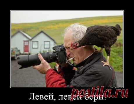 НАВОДЧИЦА