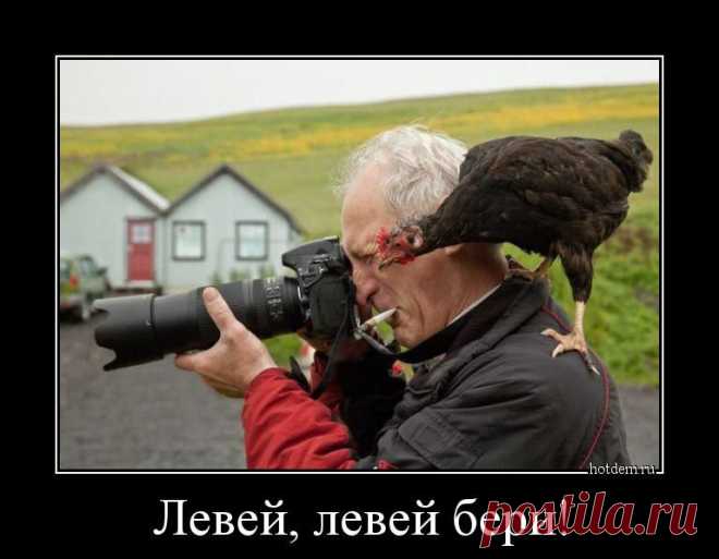 НАВОДЧИЦА