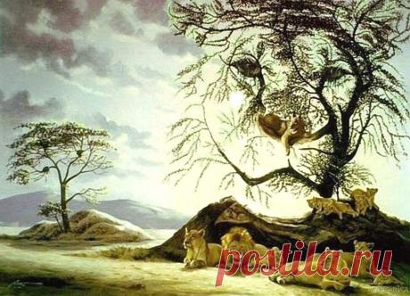 Этот зрительный тест поможет определить ваш истинный психологический возраст | Скиталец | Яндекс Дзен