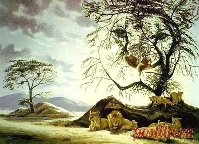 Этот зрительный тест поможет определить ваш истинный психологический возраст | Скиталец | Яндекс Дзен