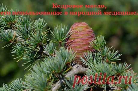 Интересные новости