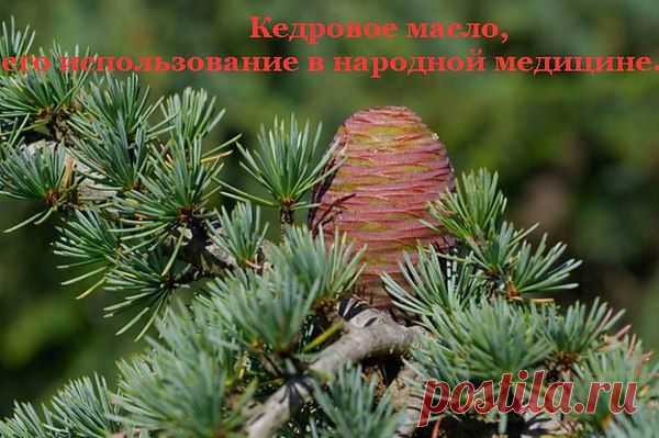 Интересные новости