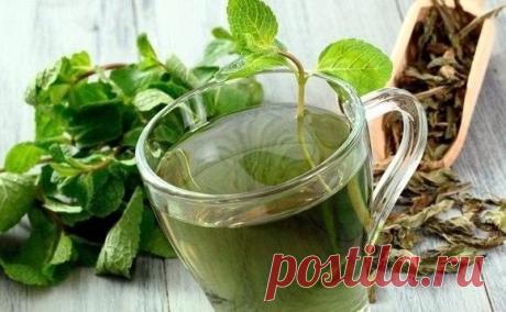 #Мое_здоровье#
РЕЦЕПТЫ ЛЕЧЕНИЯ РАКА ОТ ОТЦА ГЕОРГИЯ

Рекомендуемый сбор лечит злокачественные опухоли любой локализации,обновляет строение клеток во всем организме. Противопоказаний не имеет.

1. Настой из 16-ти трав:
Шалфей – (35 гр.);

Крапива – (25 гр.);

Шиповник- (20 гр.);

Бессмертник – (20 гр.);

Толокнянка – (20 гр.);

Череда – (20 гр.);

Полынь горькая – (15 гр.);

Тысячелистник – (10 гр.);

Ромашка – (10 гр.);

Сухоцвет – (10 гр.);

Чабрец – (10 гр.);

Кора круши...