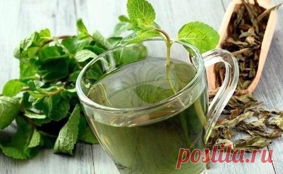 #Мое_здоровье#
РЕЦЕПТЫ ЛЕЧЕНИЯ РАКА ОТ ОТЦА ГЕОРГИЯ

Рекомендуемый сбор лечит злокачественные опухоли любой локализации,обновляет строение клеток во всем организме. Противопоказаний не имеет.

1. Настой из 16-ти трав:
Шалфей – (35 гр.);

Крапива – (25 гр.);

Шиповник- (20 гр.);

Бессмертник – (20 гр.);

Толокнянка – (20 гр.);

Череда – (20 гр.);

Полынь горькая – (15 гр.);

Тысячелистник – (10 гр.);

Ромашка – (10 гр.);

Сухоцвет – (10 гр.);

Чабрец – (10 гр.);

Кора круши...