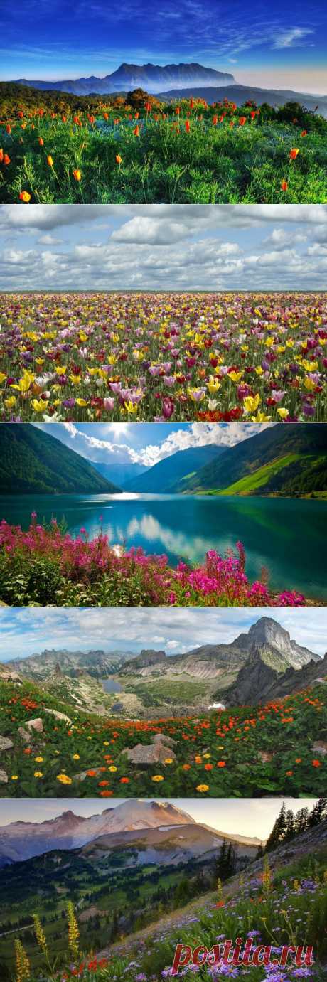 20 мест планеты, которые становятся еще краше с приходом весны