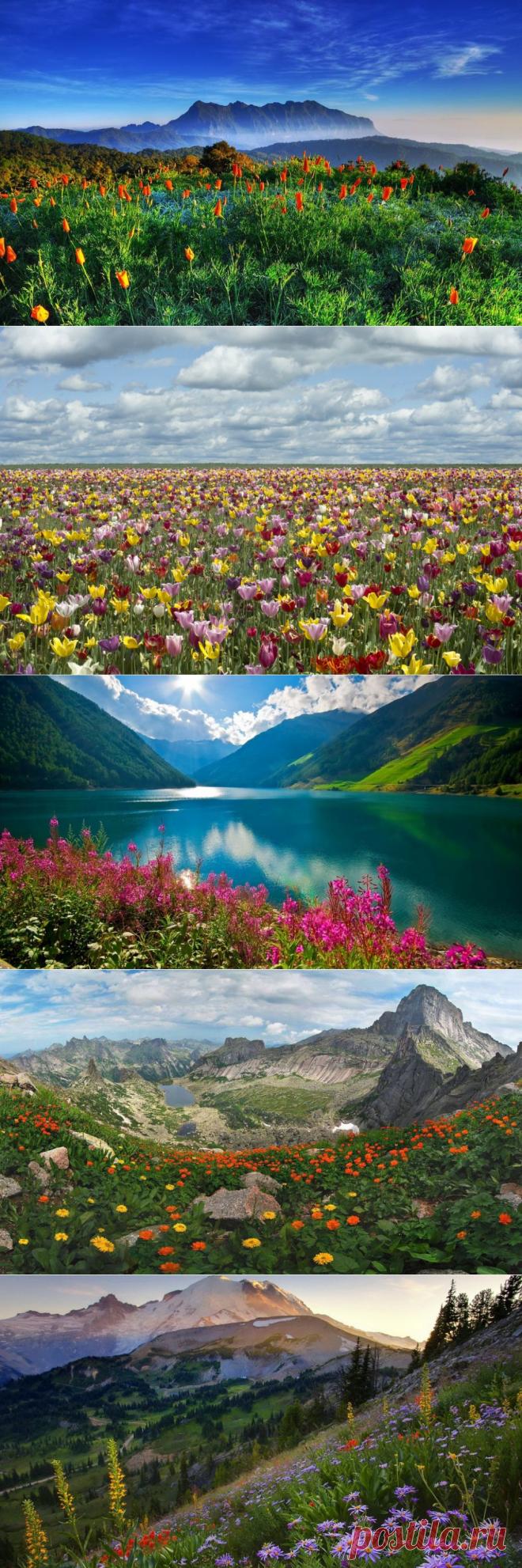 20 мест планеты, которые становятся еще краше с приходом весны