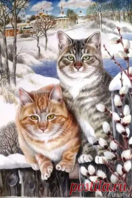Котятки