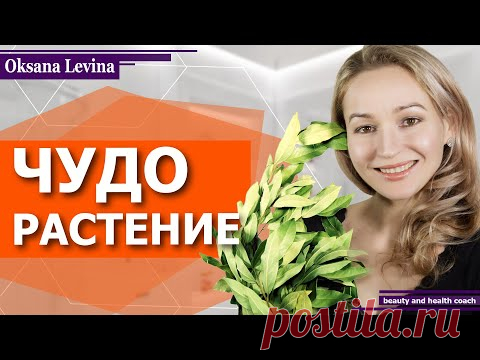 А вы знали о чудо растении для оздоровления? Лечим кожу, убираем прыщи, омолаживаем лицо