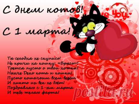 C Днём Кошек и Котов!))