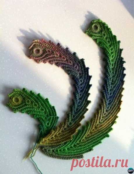 Peacock feathers, Free pattern and Peacocks on Pinterest