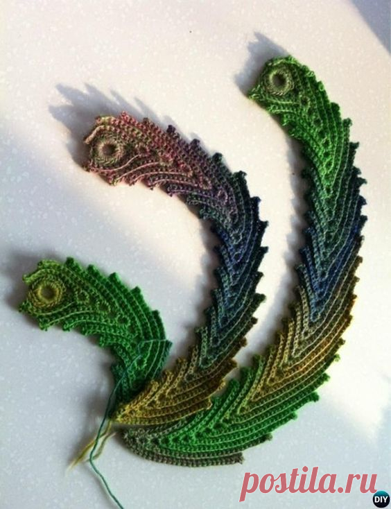 Peacock feathers, Free pattern and Peacocks on Pinterest