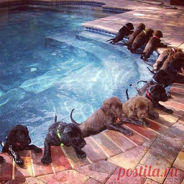 original.jpg (600×600)