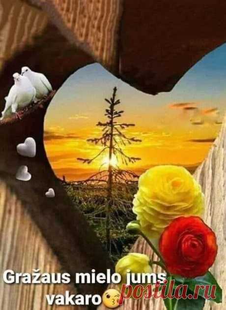 (11) Группы | Facebook