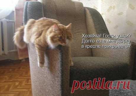 Мебельный магазин Ларго (Щёкино-Советск)
