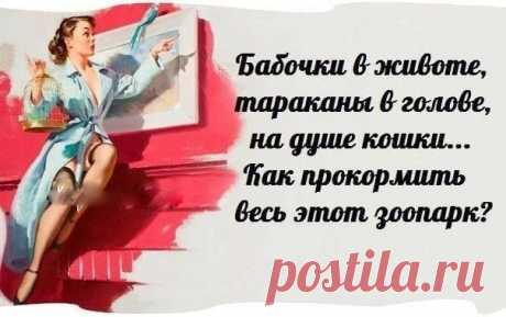 ..Тараканы в голове притихли. Наверное, готовят Новогодний сюрприз.)))

https://youtu.be/amGkufi4Kls▼ 

#женщина #интернет_бизнес #сюрприз #позитив