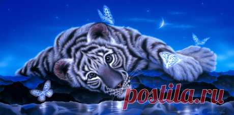 Восхитительные картины японского художника Kentaro Nishino