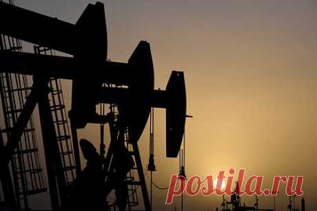 Благотворители проиграли суд с европейским нефтяным гигантом. Благотворительная организация по защите окружающей среды ClientEarth проиграла суд с европейским нефтяным гигантом Shell. Против компании хотели возобновить иск из-за ее климатической стратегии. Об этом сообщает The Guardian. В иске благотворители заявили, что Shell не сможет достичь нулевых выбросов углерода.
