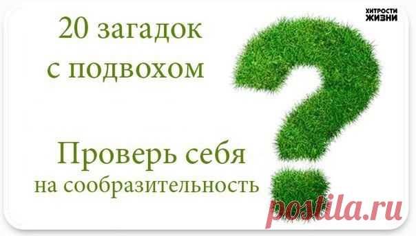 20 ЗАГАДОК С ПОДВОХОМ | Страна Полезных Советов