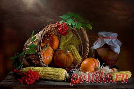 Заготовки на зиму. Более 200 рецептов.