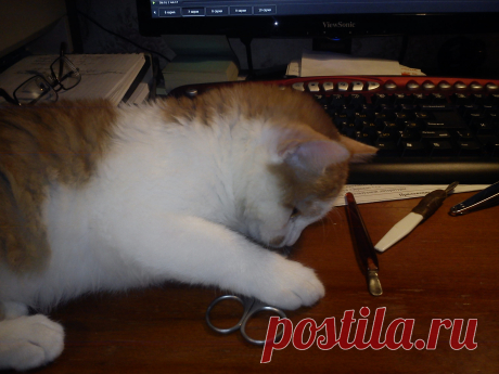 Опять маникюр!