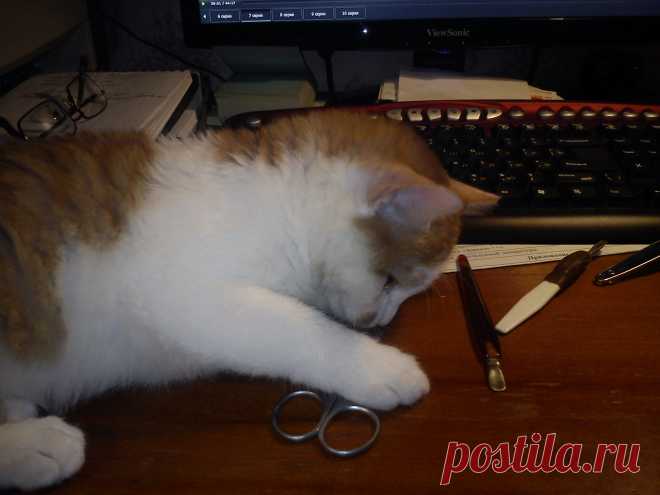 Опять маникюр!