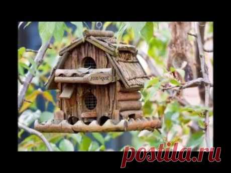 Оригинальные кормушки для птиц, фото и картинки из интернета