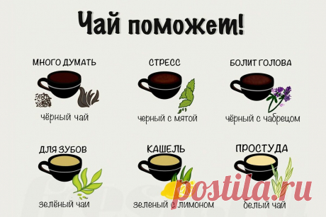 Гид по чаю: от черного до травяного! Какие из них лечат болезни? Расскажу подробно обо всех видах. | Fresh.ru домашние рецепты | Яндекс Дзен