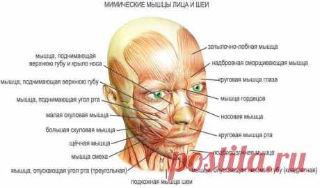 Техника омоложения: 8 простых упражнений на каждый день