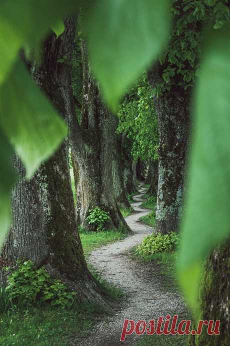 Конкурс Nature2019