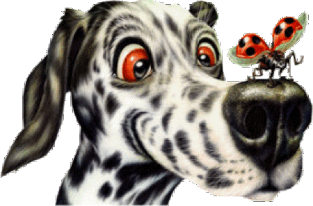 s-50816.gif (450×296)
