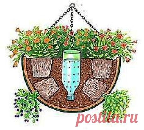 18 Most Common Gardening Questions Answered
