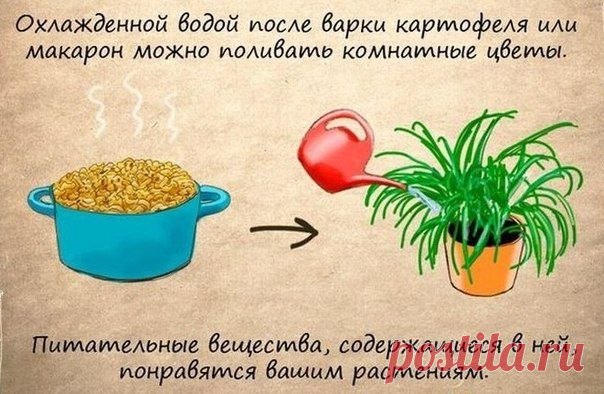 Очень полезные советы 2 | Страна Полезных Советов