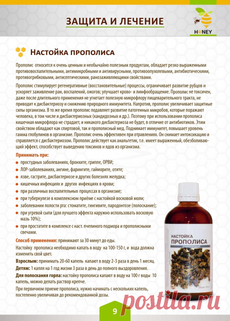 Настойка прополиса