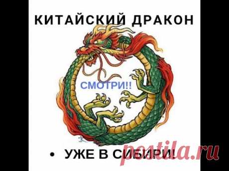 Китай захватит Сибирь! Очень скоро. не веришь? СМОТРИ!